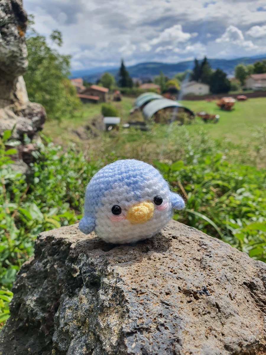 Hanawa_Crochet's tweet photo. Twitwi j'ai besoin de toi

Je fais des animaux au crochet tout mignon et je suis à la recherche de nouvelles commandes parce que j'ai besoin d'économiser pour un voyage perso

Donc je te propose de jeter un oeil sur ma boutique Ko-fi ou de RT😊
https://t.co/GGrt70AayZ

Merci 🐱 https://t.co/yFNTR8PRzV