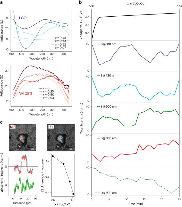 NatureNano's tweet photo. New content online: Three-dimensional operando optical imaging of particle and electrolyte heterogeneities inside Li-ion batteries https://t.co/cxC75eMAek https://t.co/4urC9X8VKr