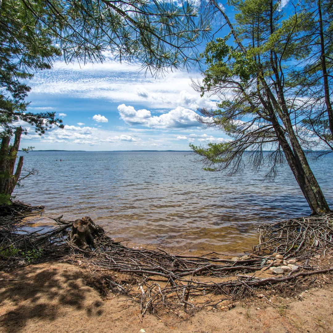 MElakes's tweet image. Glacial lakes look a little different on the #eastcoast, but they're not any less spectacular! 

Some of our top favs our #Sebago Lake (the deepest and second-largest in Maine), Rangeley Lake, and Mooselookmeguntic Lake.

📍 Sebago Lake, #Maine