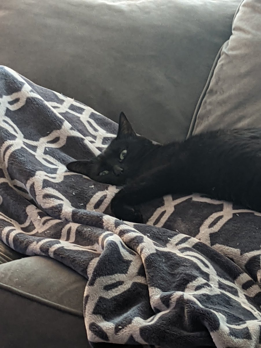 MarinersMemo tweet media