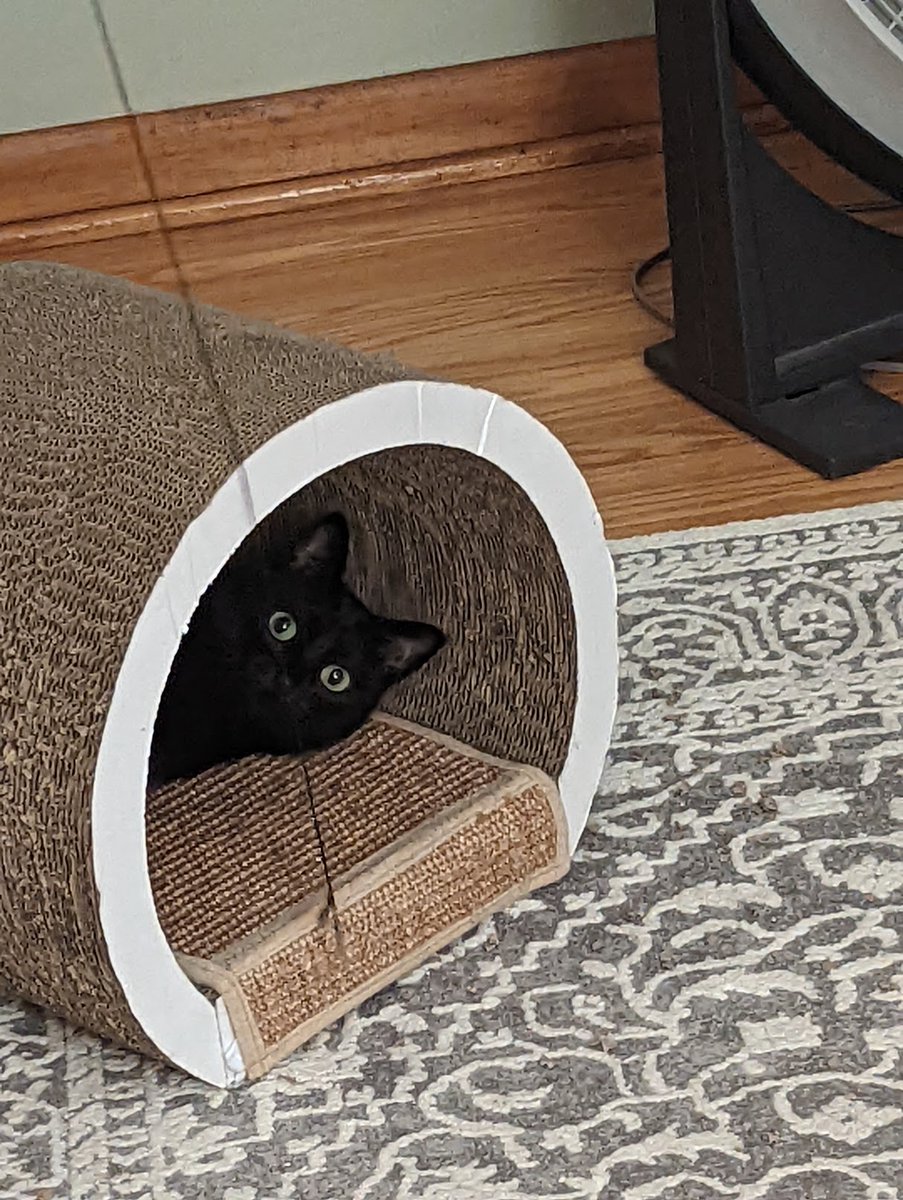 MarinersMemo tweet media