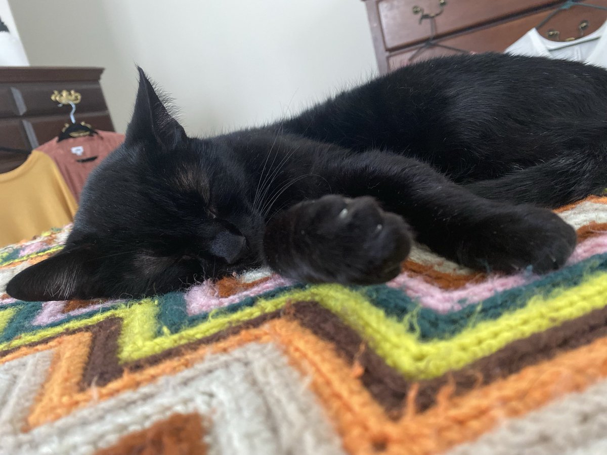 Joey Risso tweet media