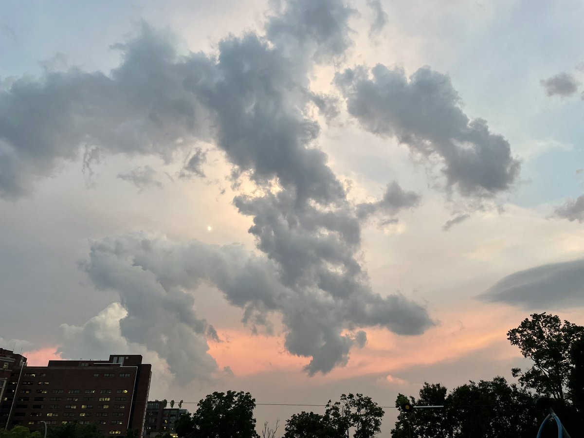 mayahehe23's tweet photo. Can’t seem to keep my head out of the clouds https://t.co/j7Y5lGXWUy