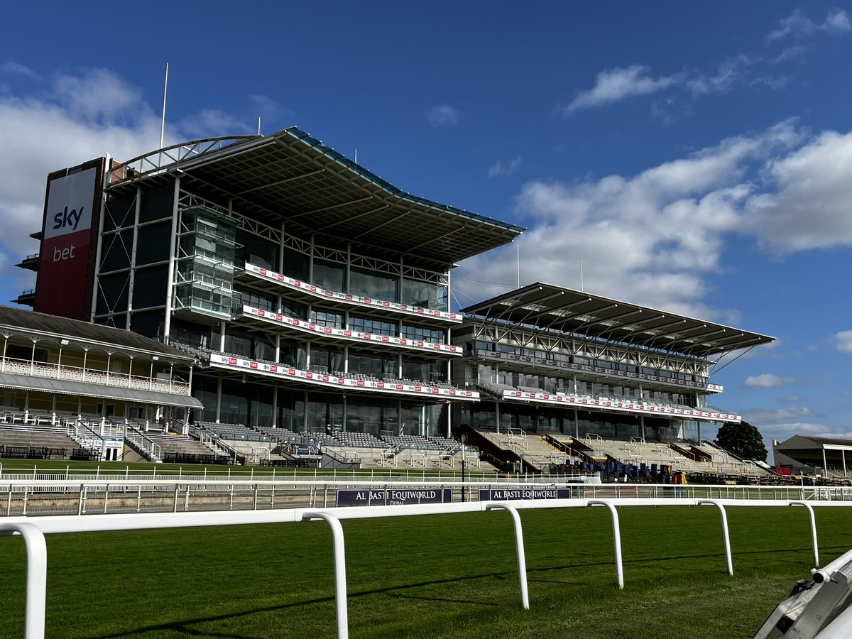 Jigsawsportsbranding tweet media