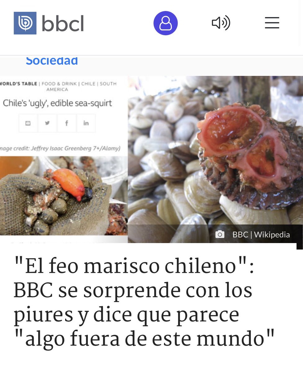 MilenioSecos's tweet photo. 📰 El medio británico @BBCWorld escribió un extenso artículo sobre el #piure chileno y sus propiedades, destacando que pese a su “feo aspecto” se posiciona en los restaurantes de alga gama.
La Dra. Pilar Haye, subdirectora de #SECOS, habló sobre esto.
🔗https://t.co/9KaH1knFwh https://t.co/ld5zHjNPbk