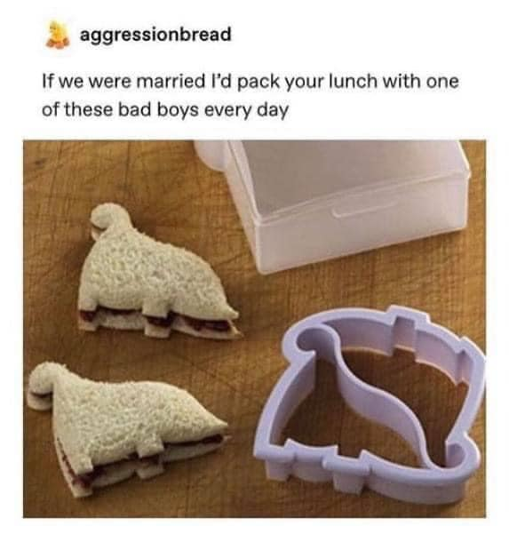 WholesomeMeme's tweet photo. https://t.co/yY2pzH8dL1