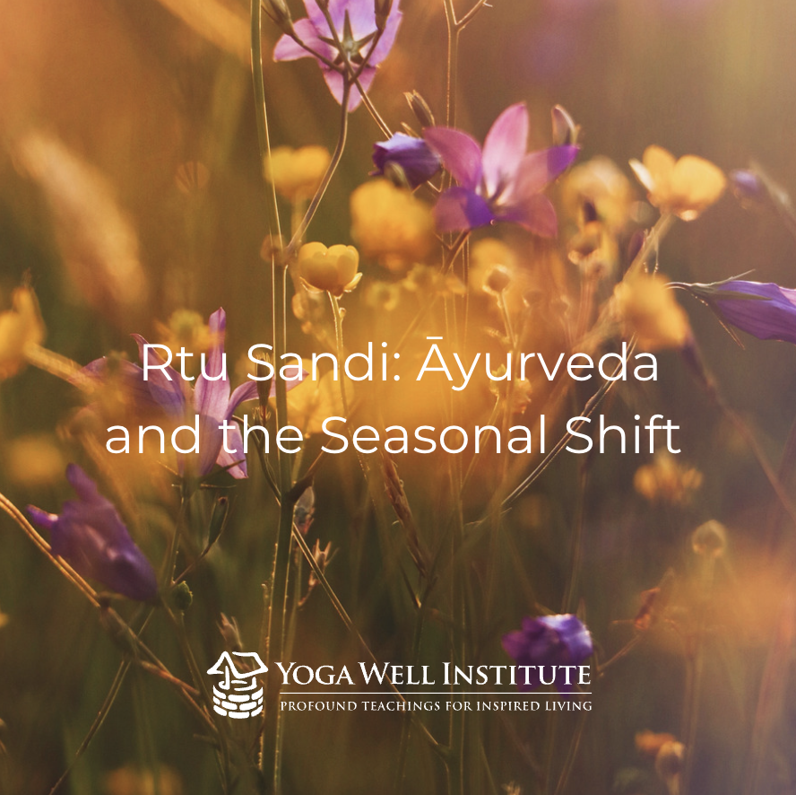 YogaWell's tweet photo. Every year around this time there comes a moment where we sense a change in the world around us as the first. In Āyurveda, the time of transition between seasons is of particular note. Referred to as Rtu Sandi, a period where two seasons meet or the junction of two seasons. https://t.co/H6jwqttozA