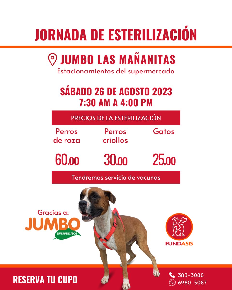 Fundación San Francisco de Asís ( FUNDASIS ) tweet media