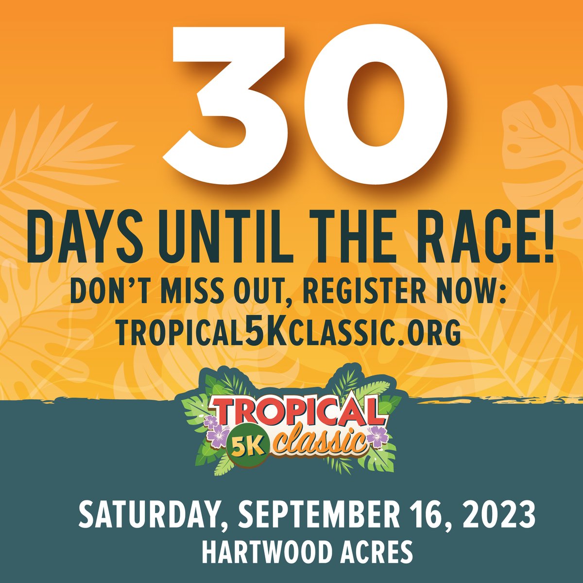 Tropical 5K Classic tweet media