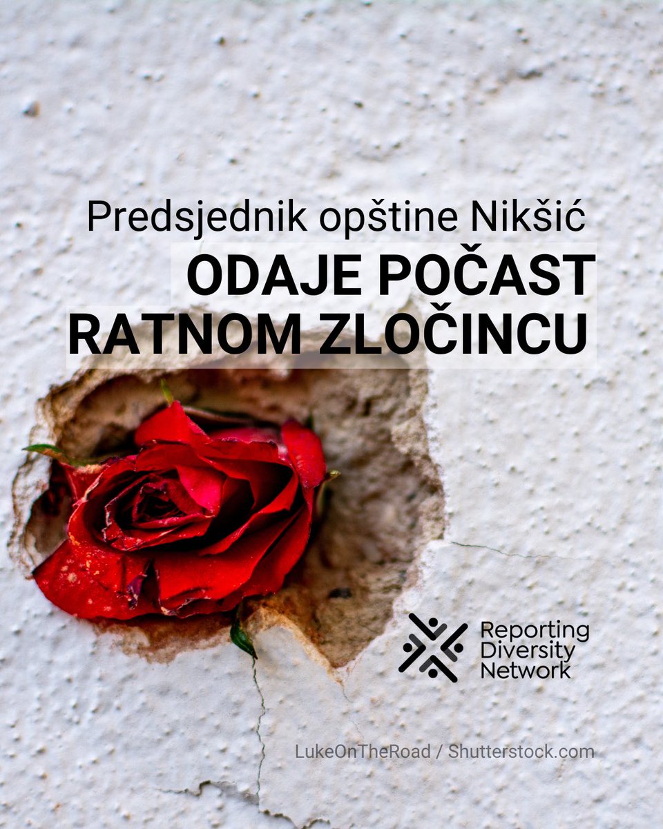 CIN__CG's tweet image. 1/2 @RDN_Diversity 

#cincg #drazamihailovic #markokovacevic