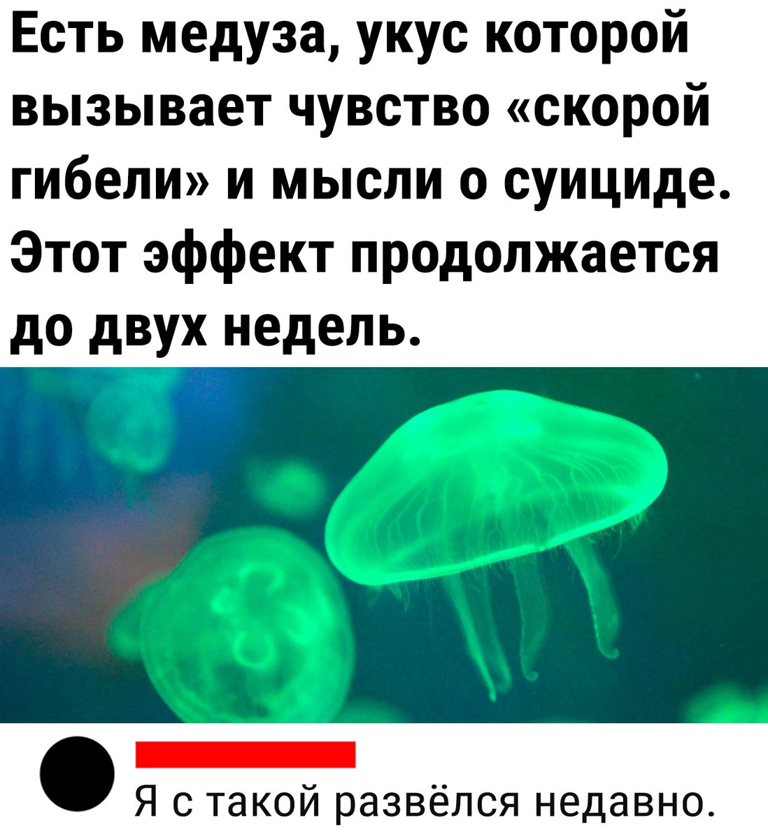 drunktwi's tweet image. 