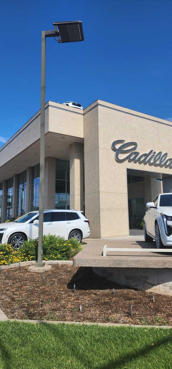 CRUNCHSNOUT 🐕✨️ tweet media