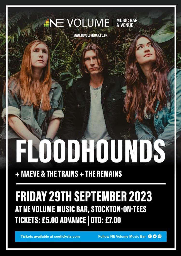 🤘🎸 STOCKTON-ON-TEES 🎸🤘 We're heading up to the north east to bring some alt rock riff heavy chaos to the good folk at @nevolumebar alongside The Remains & Maeve And The Trains! Tickets are an absolute steal at a fiver which you can get from here: seetickets.com/event/floodhou…