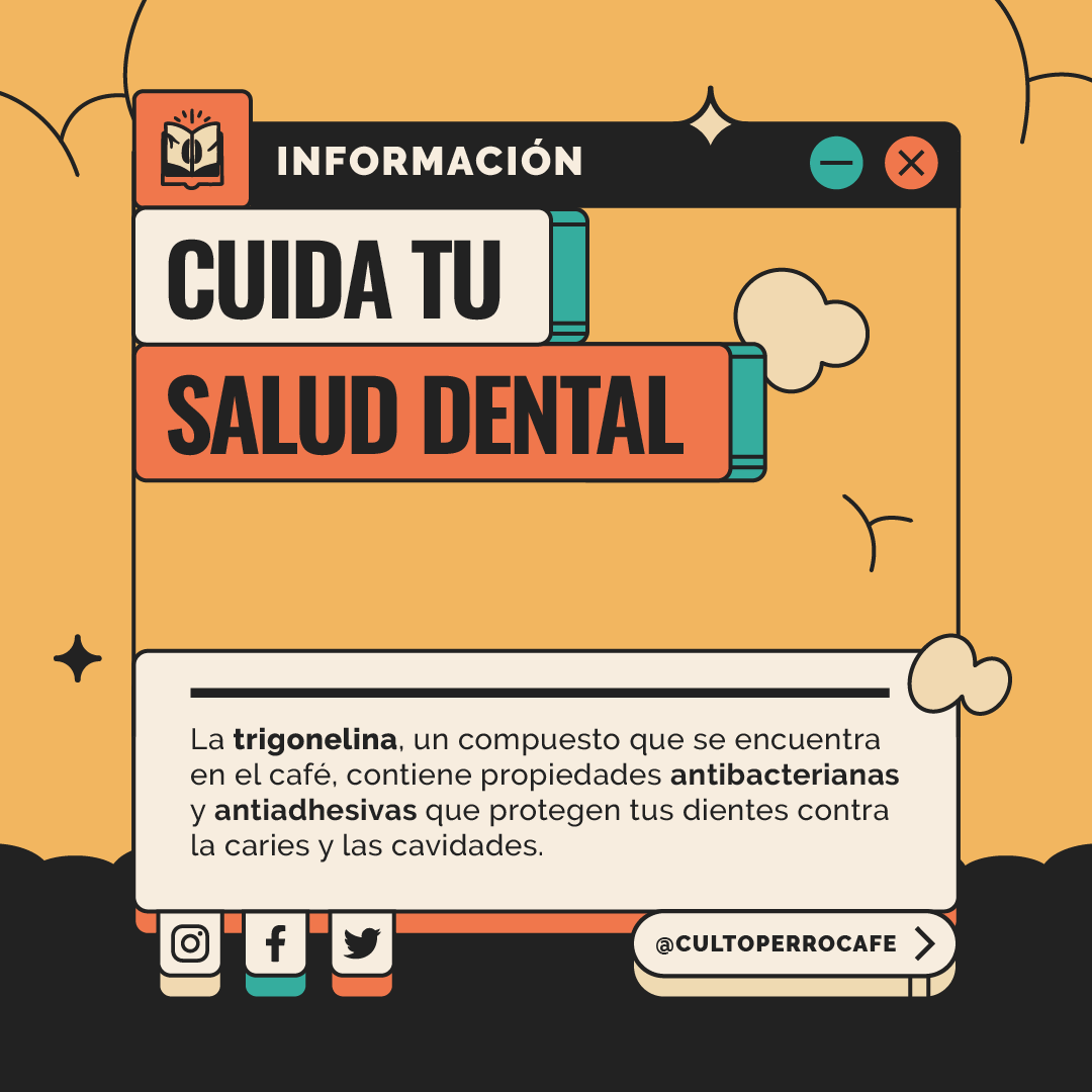 Datos sobre el café #1
Coméntanos si conoces alguna otra.
Aviso: no somos médicos, es información encontrada en internet.