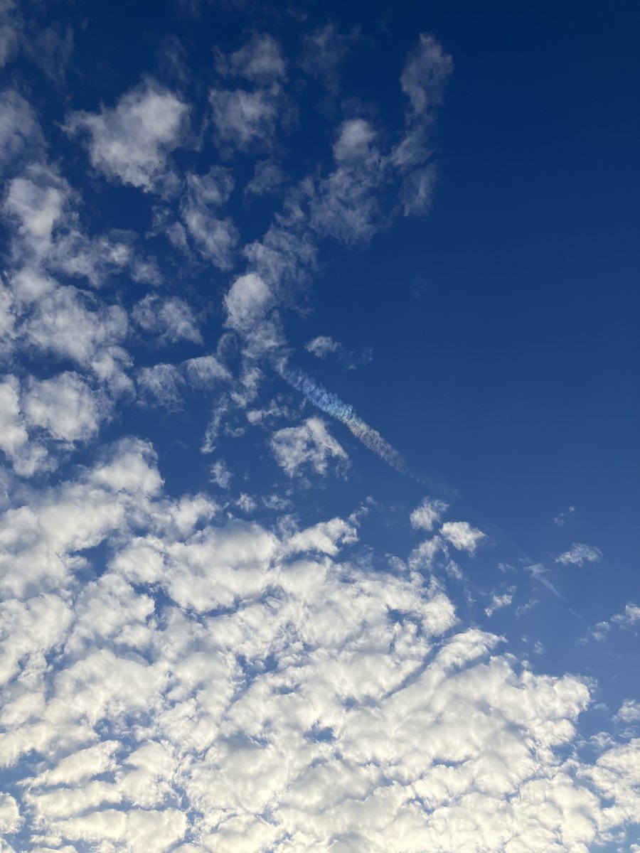 quirk chungus SHODAN tweet media