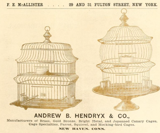 Caged birds were a standard part of the 19th-century cityscape. American goldfinches were “probably trapped in larger numbers than any of our native birds, and in the large cities... may be seen exposed for sale in any of the principal markets on street-corners.”