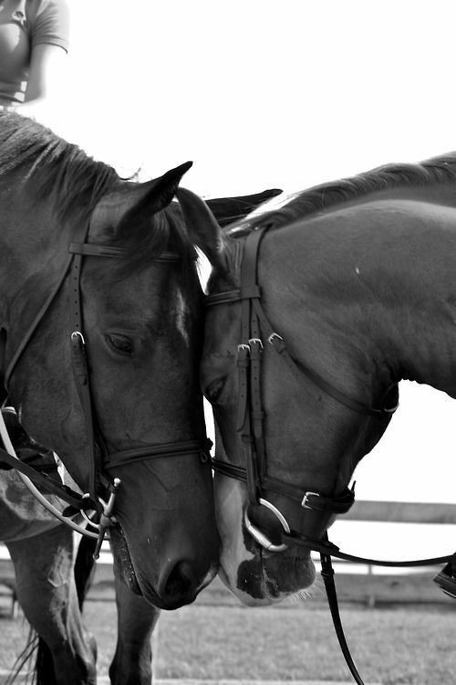 • Sana ait olan seni bulur.