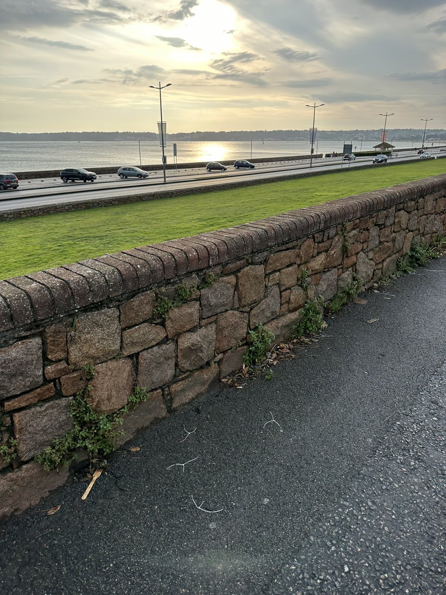 _robhayward's tweet photo. The @BattleofFlower lot were keen to put up screens to stop prying eyes, less keen to take the cable ties holding the screens to the fencing with them when it finished. 
So much for #plasticfreejersey @RussellLabey it’s strewn along the inner road. https://t.co/e4xEBcnejm