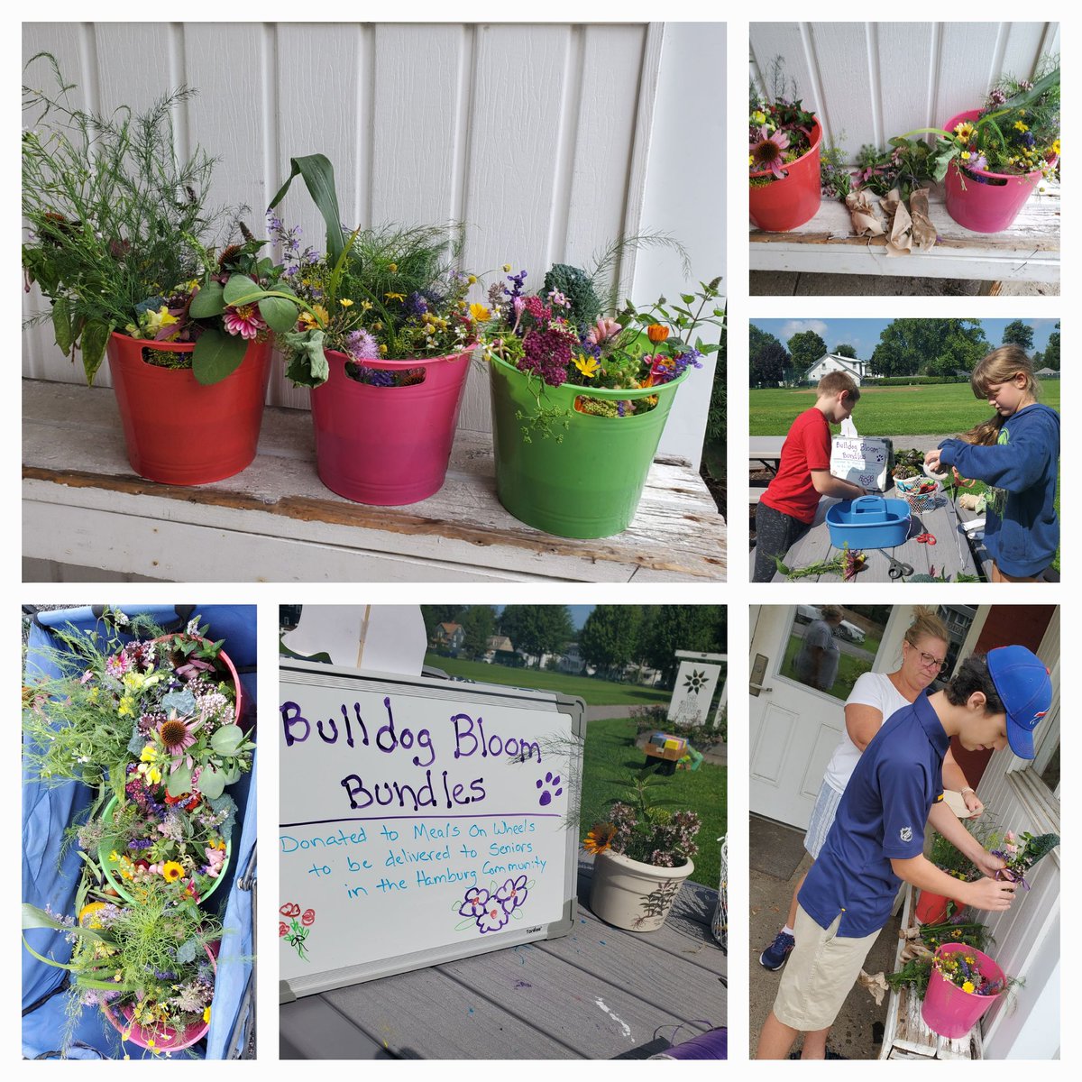 Gathering flowers from @HamburgCSD school gardens & the @VOHCommFoundation garden space, kids in our community created #bloombundles to be distributed to our senior community w/ @feedmorewny #HamburgMealsonWheels #growjoy #spreadkindness #moretocome #wnylove