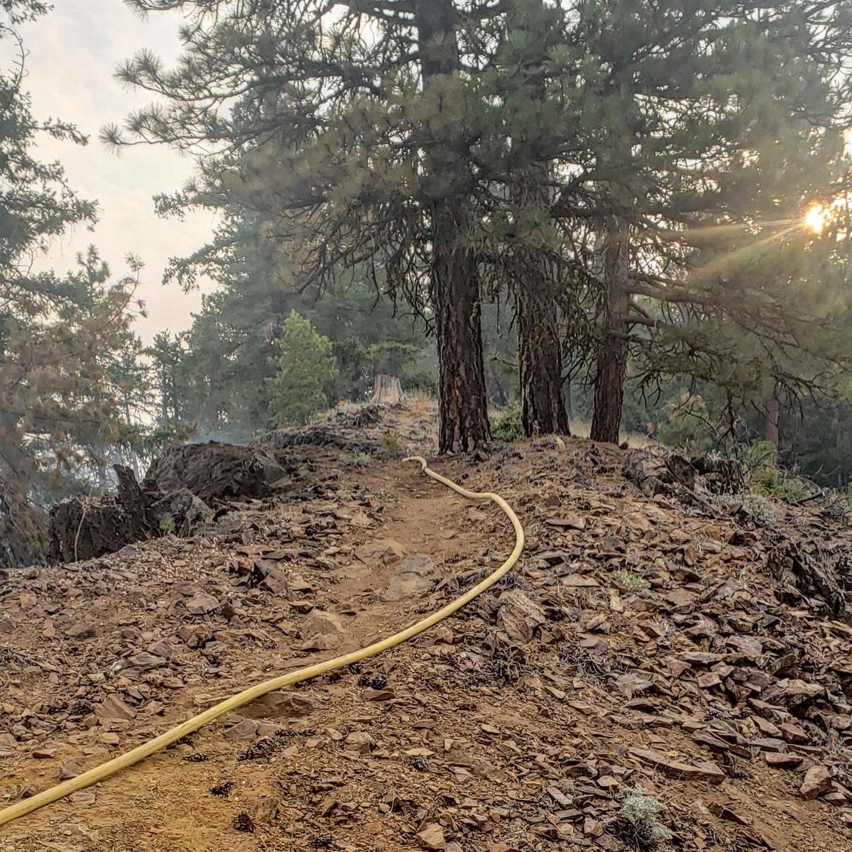 PCP_FIRE's tweet image. Yesterday #NevadaCounty sent a Type-3 Engine #StrikeTeam to the #HeadFire in #SiskiyouCounty. Before units arrived at the Head Fire they were diverted to the #ScottFire in the #FortJones area for immediate need structure protection in a remote area of the wilderness #PCPFire