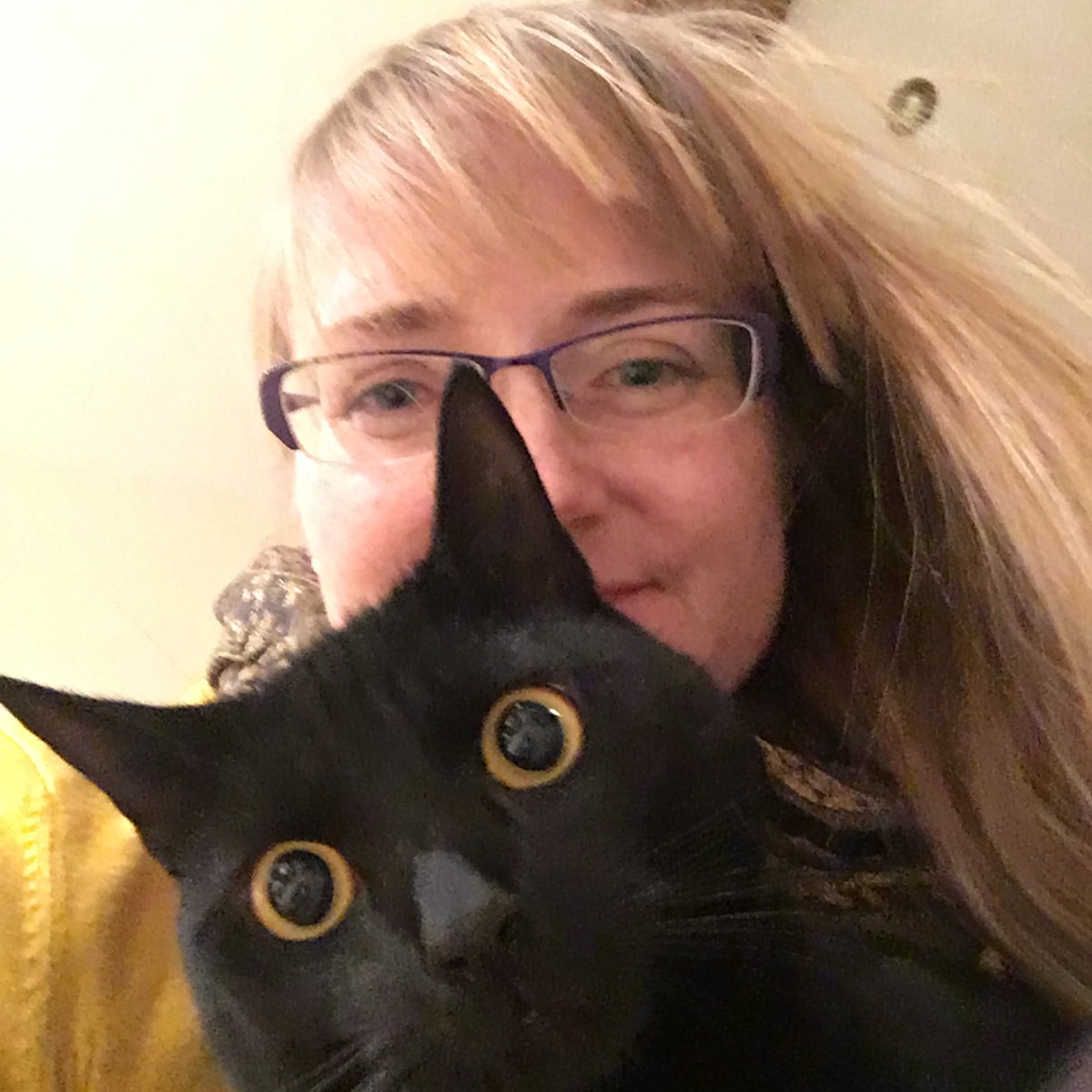 Charlie Cropp tweet media