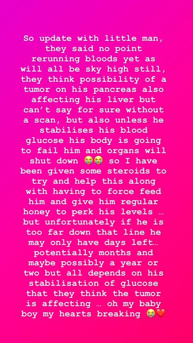 My heart is just breaking &hellip; hold on my baby let me help you best I can 😭💕 https://t.co/DXYZKycTla<a href="/tag/newprofilepic"class="tags"><span>#newprofilepic</span></a>
