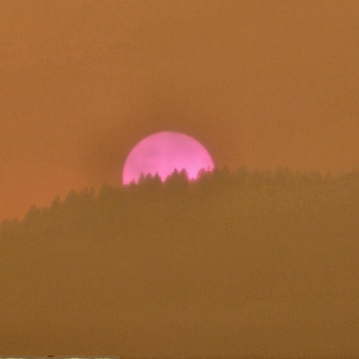 ᴳᵉʳᵃʳᵈ ϟ tweet media