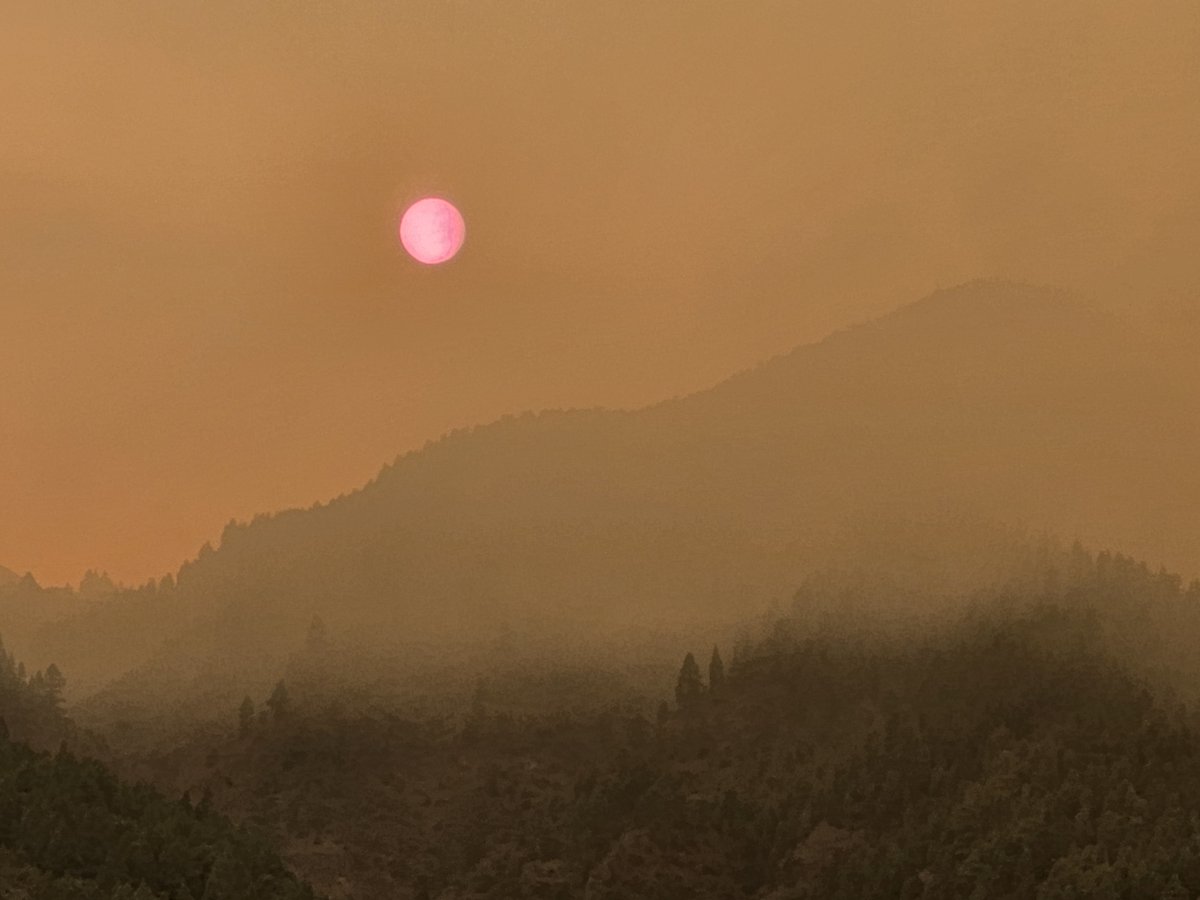 ᴳᵉʳᵃʳᵈ ϟ tweet media