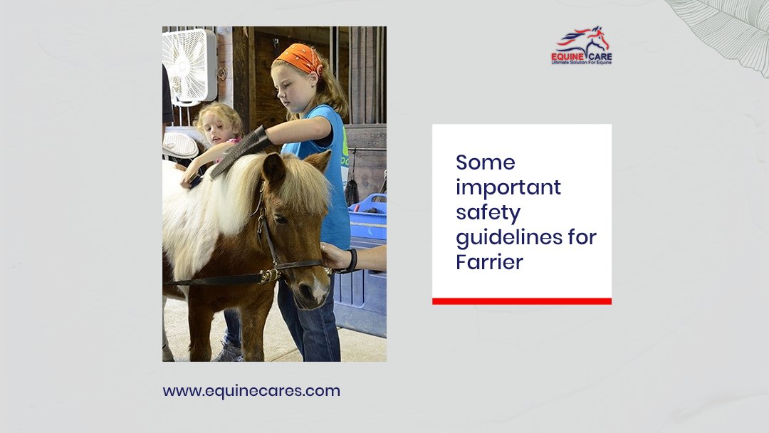 🐴🔧 Safety First! Essential Guidelines for Farriers 🚫✋

1️⃣ Maintain a calm environment

2️⃣ Use proper hoof handling techniques 

3️⃣ Wear protective gear 

#FarrierSafety #EquineCare #HoofTrimming #SafetyGuidelines #HorseHealth #SafetyFirst #FarrierTips