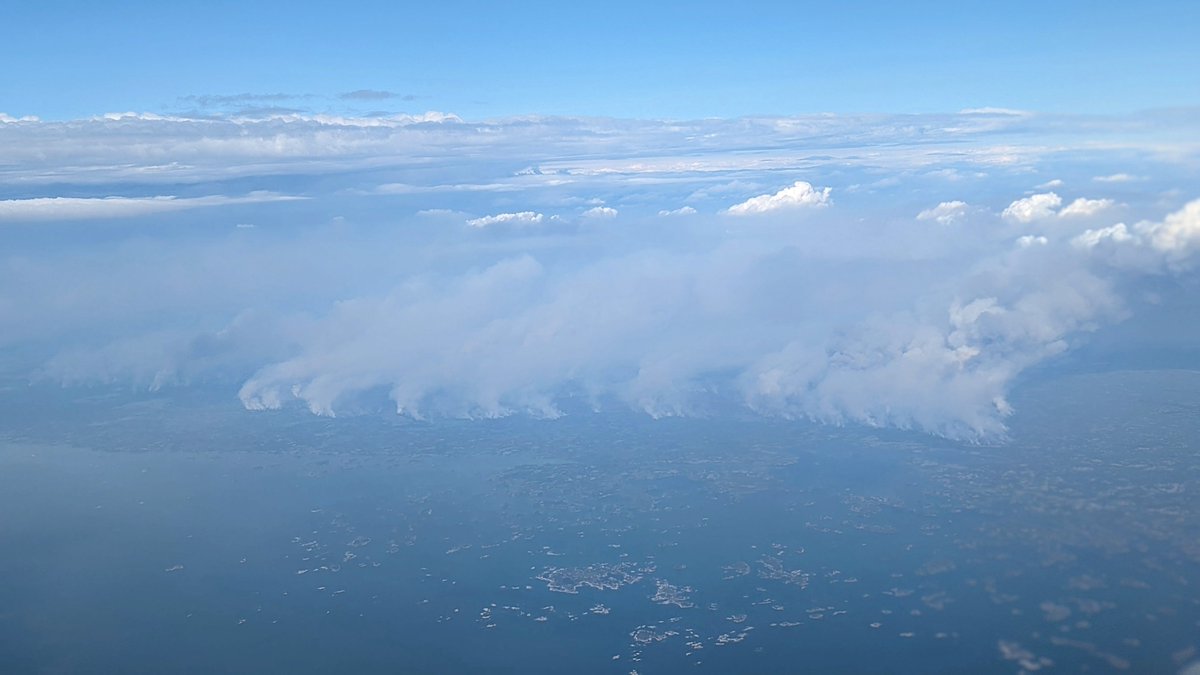 Chris Windeyer tweet media