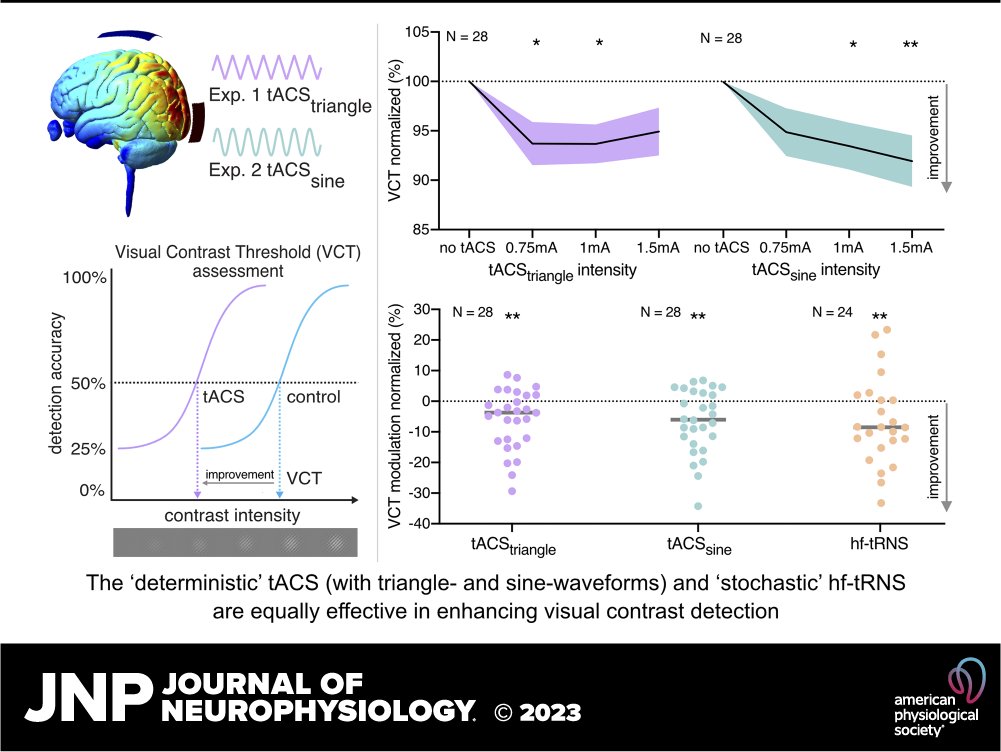 APSPublications's tweet image. New in @JNeurophysiol: @WeronikaPotok et al. investigated whether nonrandom, high-frequency, transcranial alternating current stimulation applied to the #VisualCortex could  enhance the performance of #VisualDetection tasks.

ow.ly/Gf3x50PAmVt

#ContrastSensitivity