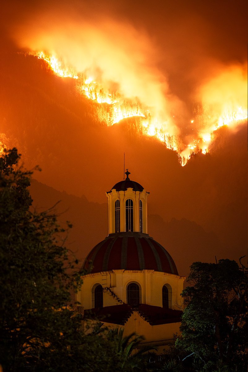 platancanaria03's tweet photo. Espero que  el  culpable de este incendio de la puta cara porque tienes que estar disfrutando de como pasan los medios aéreos para hacer descargas de agua tantos animales en peligro de extinción y muriendo calcinados. Vergüenza es lo que te debería de dar #IncendioTenerife https://t.co/bVLo0A2IrV