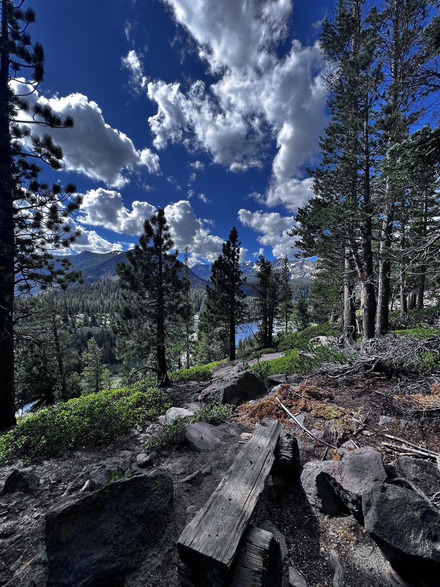 Bursontherealt1's tweet image. His invisible attributes are clearly seen
#amongthetrees
#walkwithgod 
“For since the creation of the world His invisible attributes are clearly seen, being understood by the things that are made, even His eternal power and Godhead, so that they are without excuse…” Romans 1:20