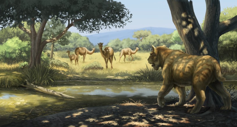 In California, 13,000 years ago, ice age mammals that roamed the landscape for millennia, suddenly ceased to exist. The cause? Humans, fires, and an ecosystem made vulnerable by climate change. Read about the groundbreaking study by #TarPits curators: bit.ly/ExtinctionSurv…