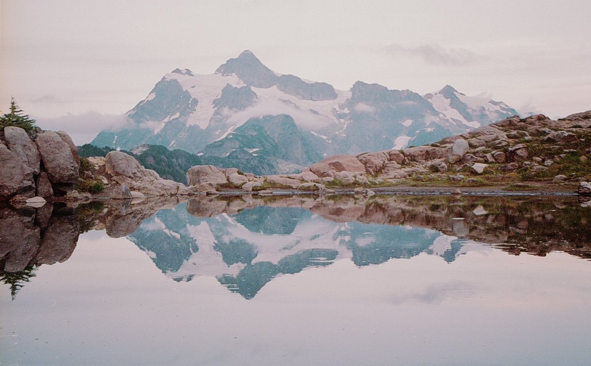 JoseePearlson's tweet photo. Mt. Baker wilderness on 🎞️ https://t.co/mEyeM6zNKs