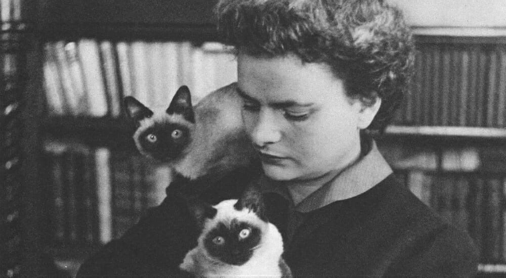 amatorosalia1's tweet photo. #ricordiamodomani #18agosto 1912 nasce #ElsaMorante, scrittrice, saggista e poetessa italiana. Ha dedicato tutta la sua vita alla scrittura, vincendo numerosi premi letterari. https://t.co/4rFwSYFq95