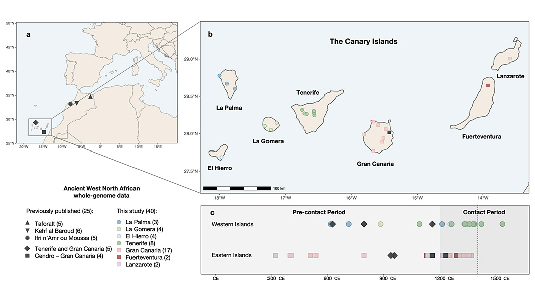 A study published in @NatureComms uses paleogenomic data from the indigenous people of the Canary Islands to shed light on the Prehistory of North Africa, and how insularity and resources availability shaped the genetic composition of this population. go.nature.com/3s8TVIe