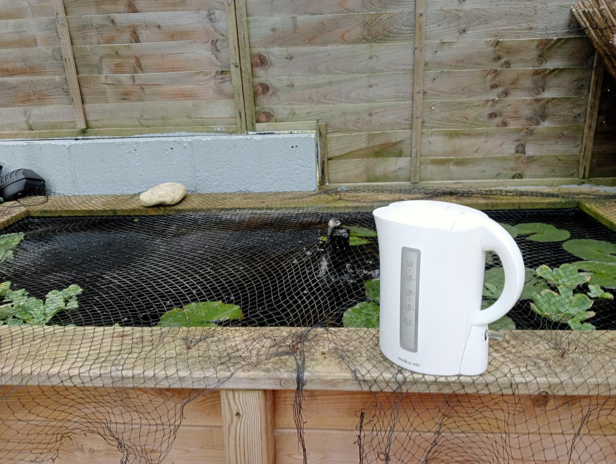 worksovart's tweet image. I love nature. It’s so great for your health and throws up surprises every day. This evening, in our back garden, right by our fishpond I saw this water ‘otter. Sadly, I had to shoo it away as I was worried it would get our goldfish.
#smile 
#joke 
#nature 
#fun