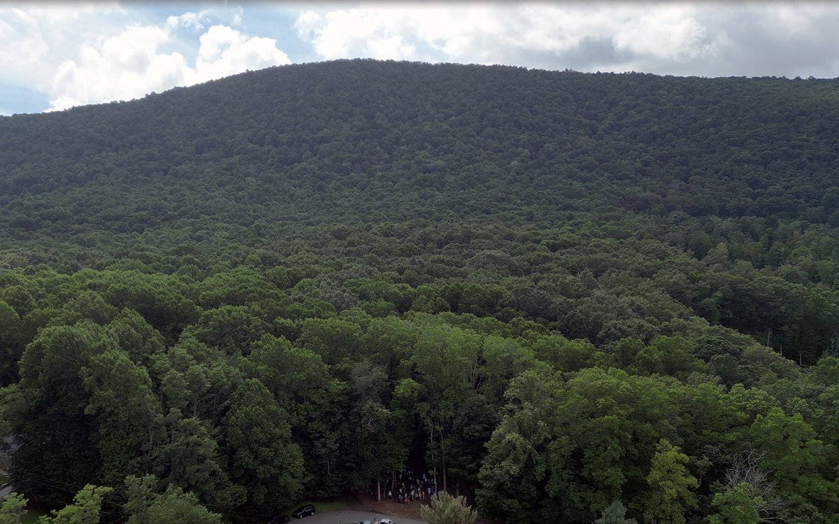 BlueRidgeConservancy tweet media