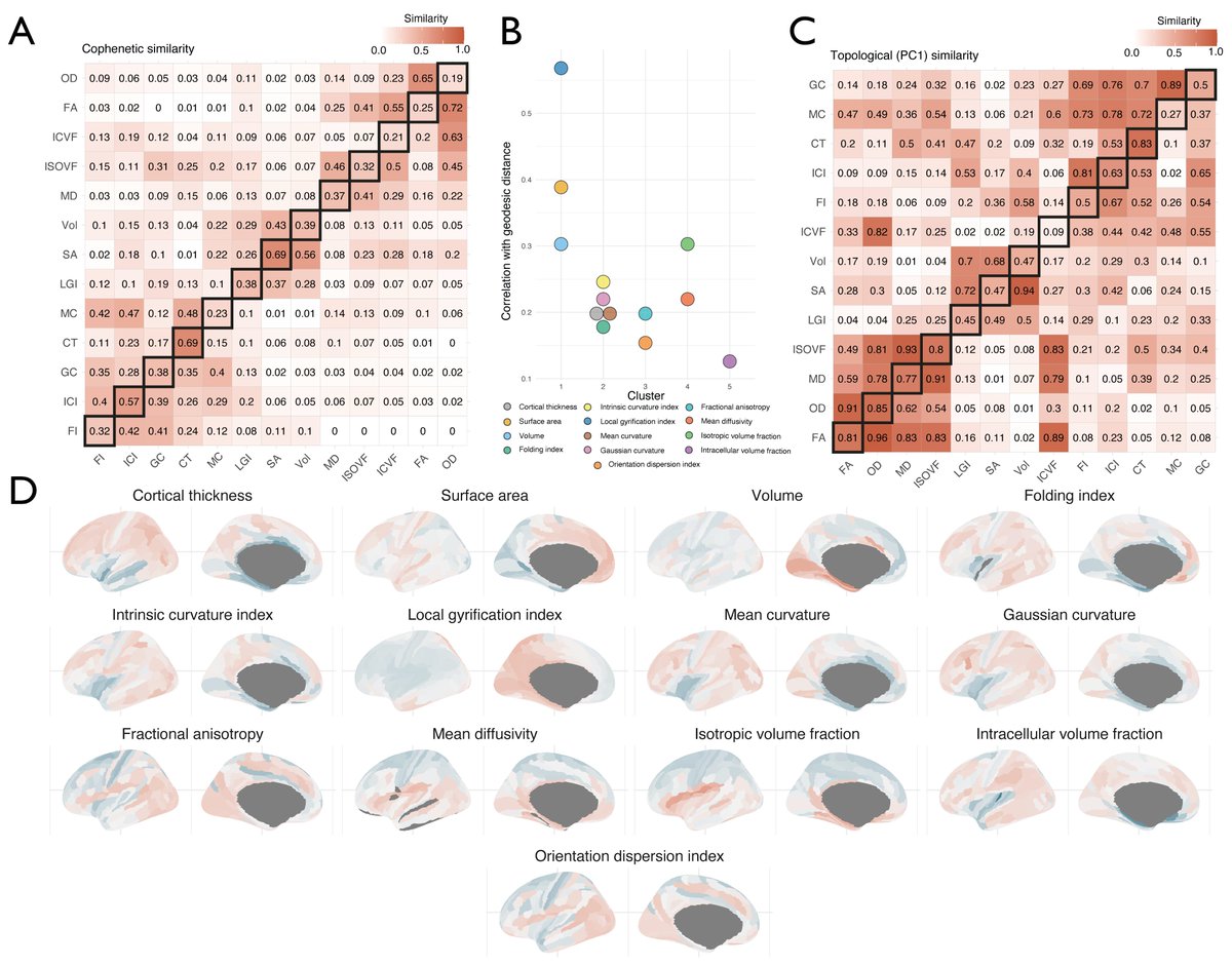 Richard Bethlehem (@rai_bethlehem) on Twitter photo Our latest global effort (led by twitterles Varun Warrier from <a href="/psychiatry_ucam/">Cambridge Psychiatry</a> and <a href="/CambPsych/">Dept of Psychology</a> ) to map the genetic architecture of the human 🧠 is now live! Massive thank you to all co-authors!! nature.com/articles/s4158… Our latest global effort (led by twitterles Varun Warrier from <a href="/psychiatry_ucam/">Cambridge Psychiatry</a> and <a href="/CambPsych/">Dept of Psychology</a> ) to map the genetic architecture of the human 🧠 is now live! Massive thank you to all co-authors!! nature.com/articles/s4158…