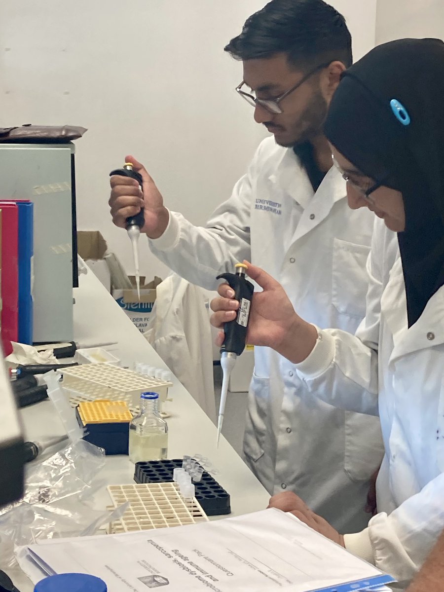 It has been excellent having a-level students in the lab for the past week as part of the #in2science initiative.