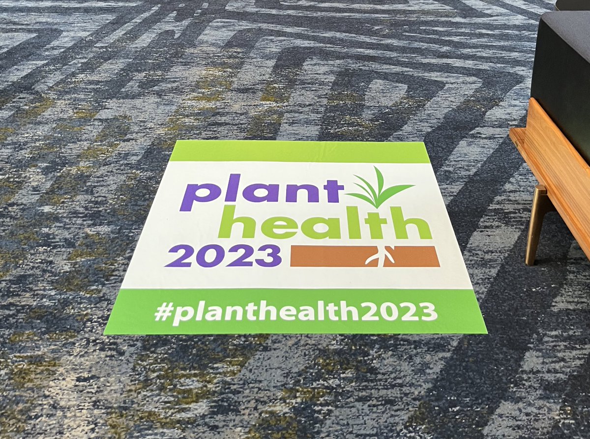 So grateful to have had the opportunity to present a poster and meet so many amazing researchers at #PlantHealth2023! A big thank you to everyone who came to learn about RKNs and the microbiome!