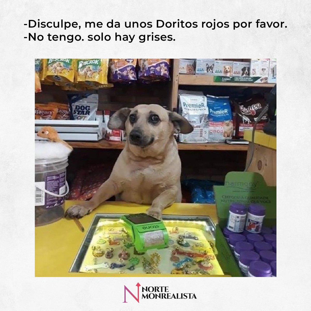 NMonrealista's tweet photo. Lomitos de ayer y hoy, presenta: 🐶
#ContinuidadReal #MorealEsMorena #MonrealEsReal #RicardoMonreal #Monreal #NorteMonrealista
#CaminoMonrealista #Monreality
#Perrhijos #Lomito #Lomitos #Perro #Perros https://t.co/utU1AOUMCN