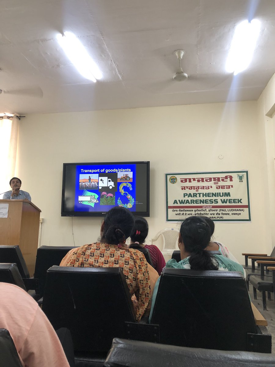 Taking the Next Step Towards a Parthenium-Free Field! Join us in this green mission as we restore biodiversity and promote healthier ecosystems. #PartheniumFreeFields #BiodiversityRestoration #PAU