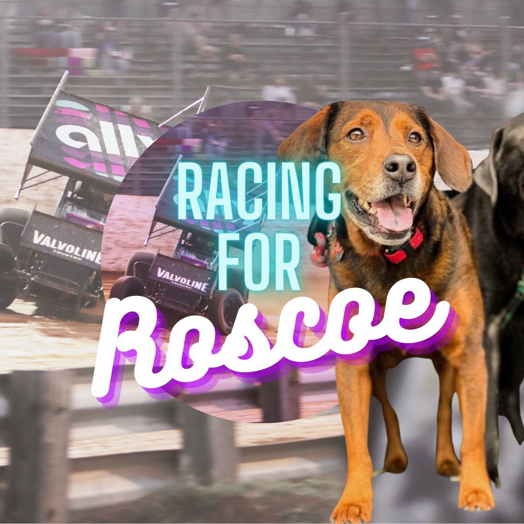 Cleaning up our race day graphic act for this weekend, with heavy hearts we’re racing for Roscoe. ❤️

📍 @jacksonmotorplx 
🏁 @WorldofOutlaws 
⌚️ 7:30 pm ET
📺 @dirtvision 
🎨 @Dirtroots_Jess