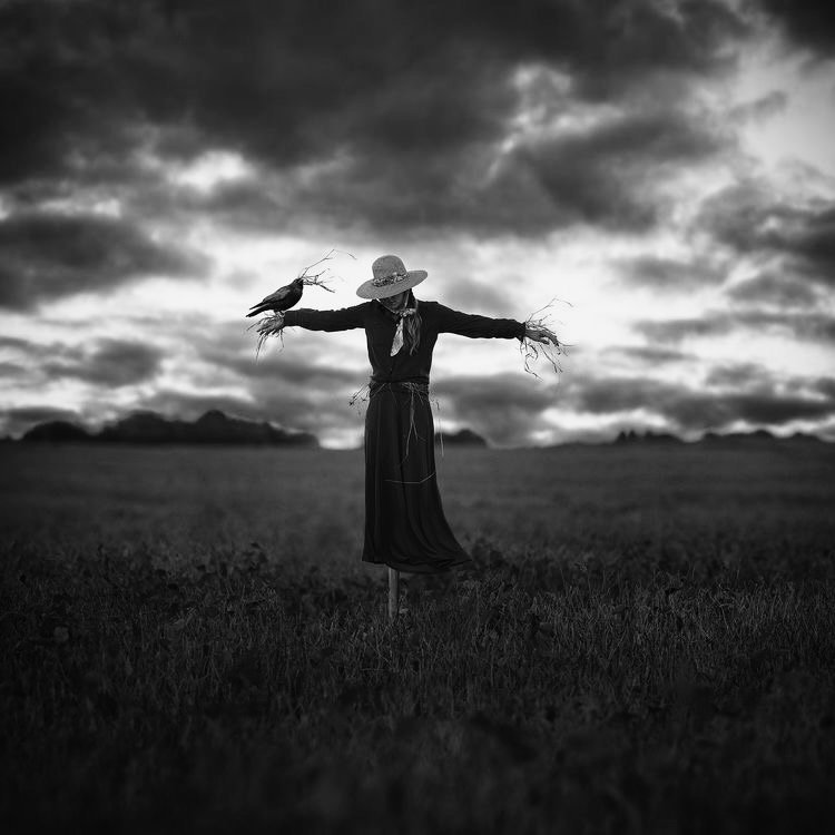 princess_evya's tweet photo. the crows don't fear you, 
so why would I? scarecrows can't
run away from here 

#haiku #haikufeels #haikuhorrorprompt #vsshorror #poetry #poem #poetrycommunity #haikuchallenge https://t.co/FxsLP78hOa