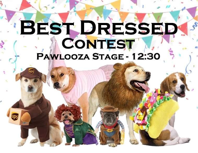 Pawlooza will be hosting the Best Dressed Contest on the Stage at 12:30. There is no entry fee and the winner receives a doggy gift basket worth $200! email pawloozabestdressed@gmail.com to secure your entry. You can also stop by the stage to register the day of the event.