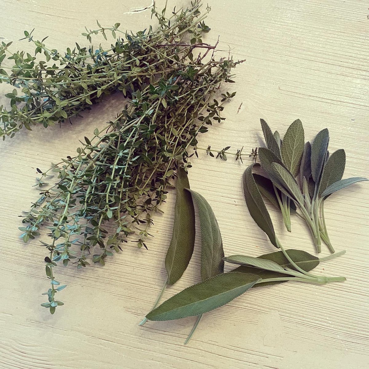 stephanieMSHS's tweet image. Rip to toxic grocery stores. Hello to #selfsustaining . Cultivate your future! 
#homemadecooking #gardening