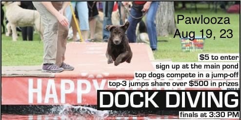 Pawlooza (@pawlooza) on Twitter photo 