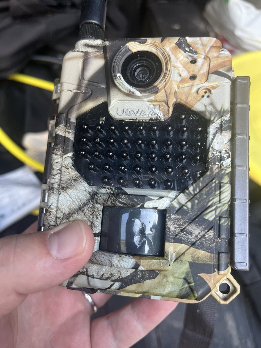 Ihan vaan riistakameroiden puolesta kyselen, että kuka/ mikä on pahoinpidellyt liiketunnistimen suojamuovin kesän aikana molemmista kameroista?

Tekijä ei ollut jäänyt kameraan joten Homo sapiens ei liene syyllinen.